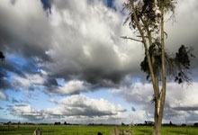 法国球员姆巴佩荣获欧洲金球奖,个人全面实力受肯定