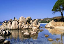 西部热门球队争先恐后，节节高潮战胜局