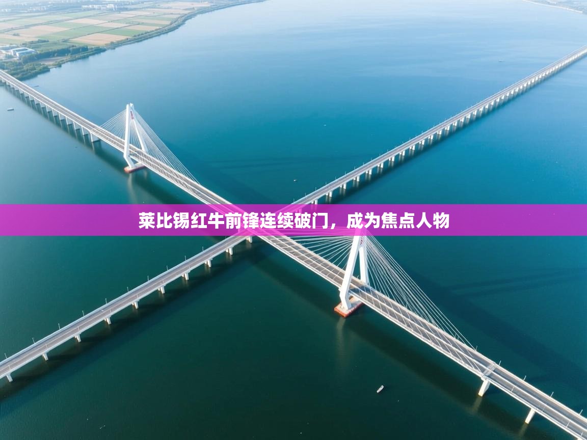 莱比锡红牛前锋连续破门，成为焦点人物  第2张