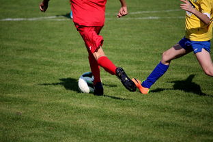 半岛体育在线官网-利物浦球员心理调节到位，比赛中发挥更稳定